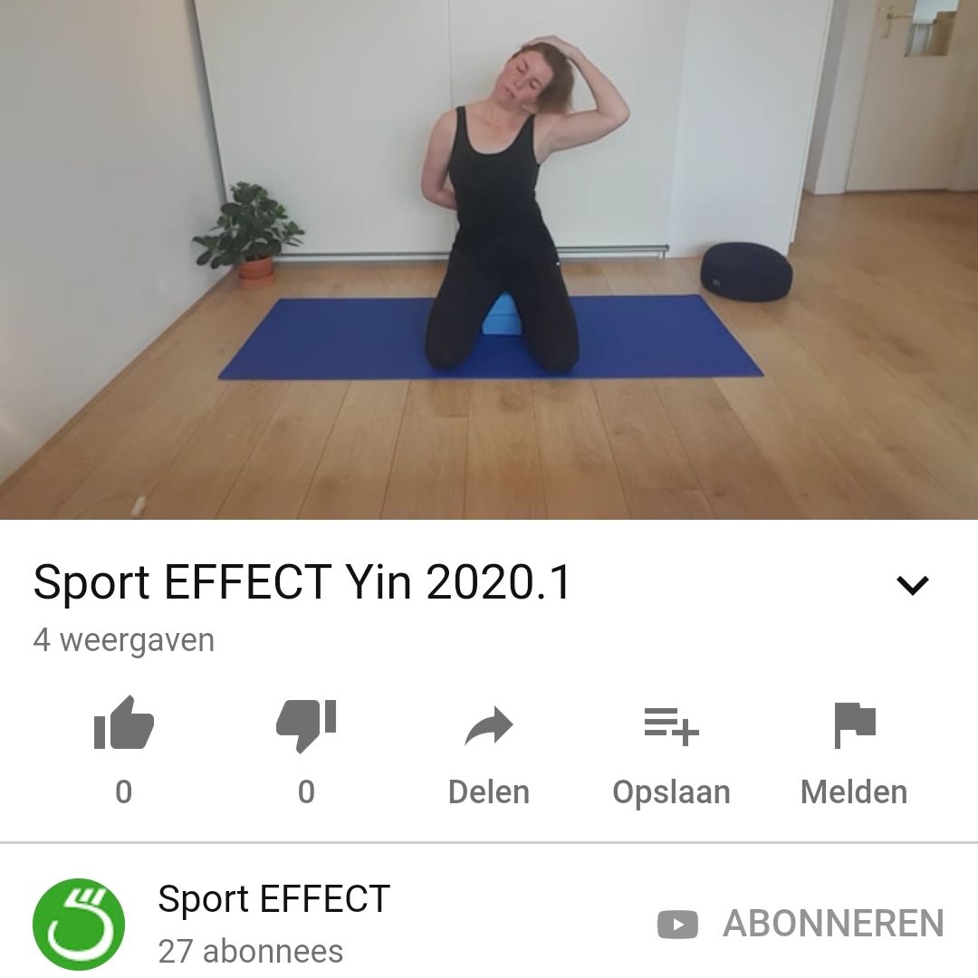 YT Sport EFFECT Yin 2020.1 